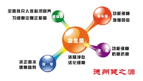 腸胃功能差，益生菌就可以解決一切