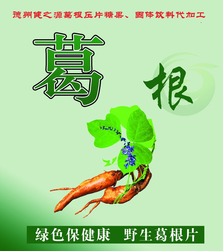 葛根，男女通用的人體調(diào)理專家