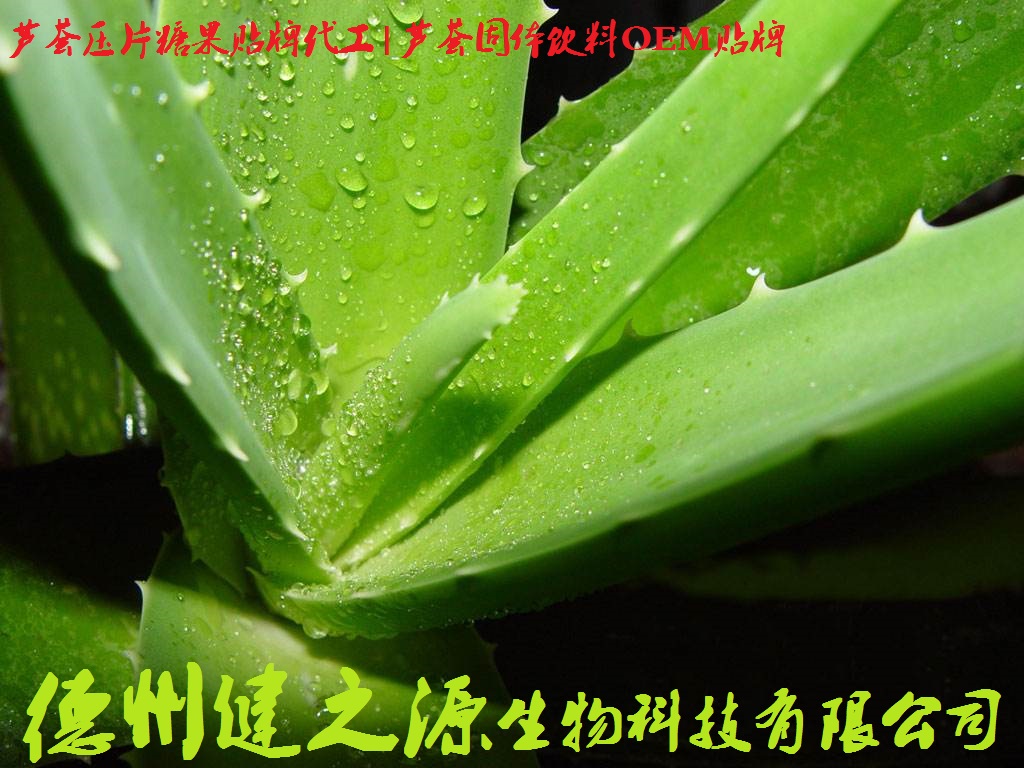 山東保健食品oem貼牌代加工廠(chǎng)-德州健之源